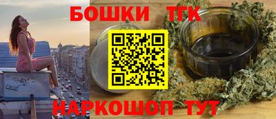 индика Можга