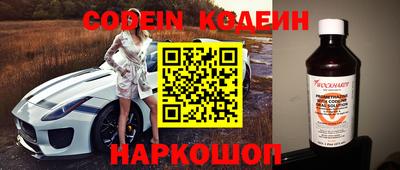 индика Можга