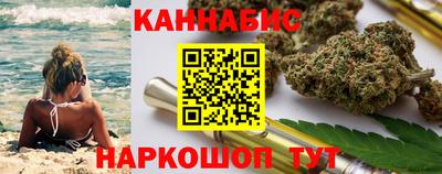 индика Можга